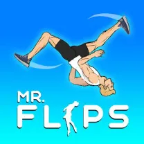 Mr Flip Mr Flip img